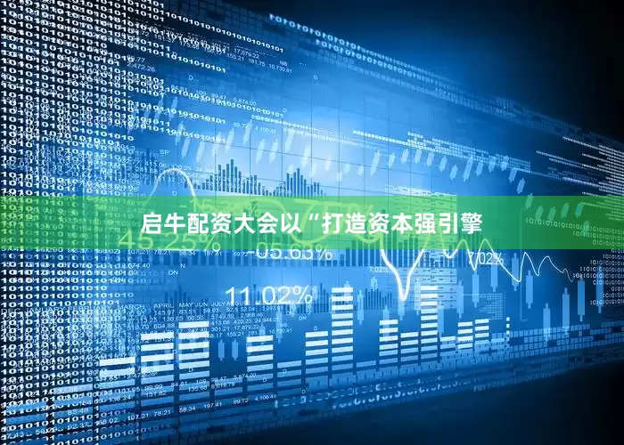 启牛配资大会以“打造资本强引擎