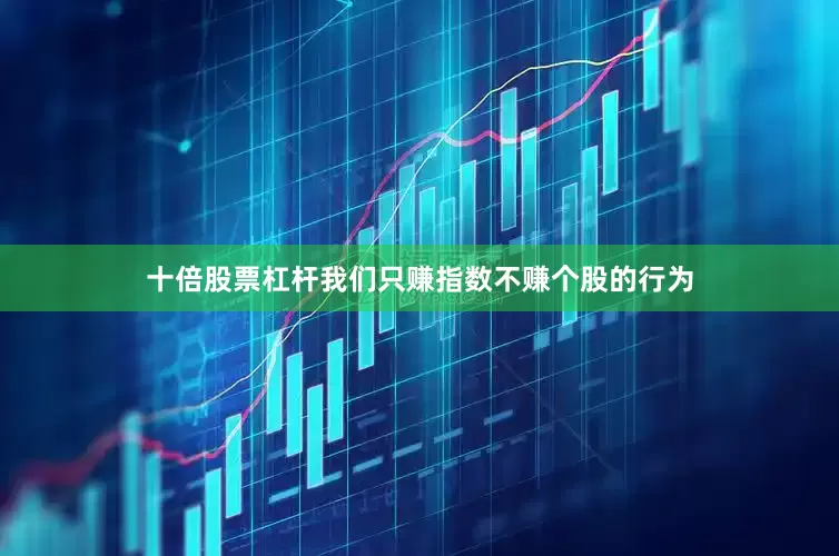 十倍股票杠杆我们只赚指数不赚个股的行为