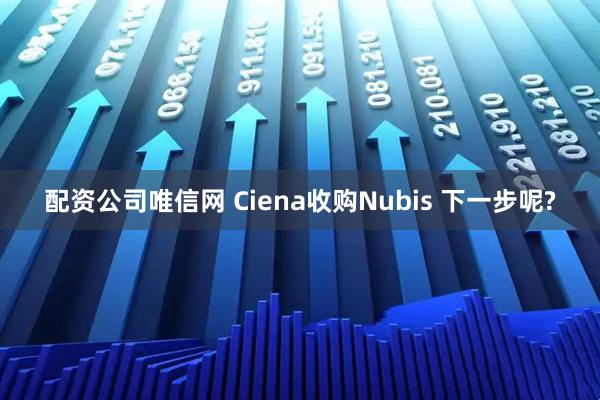 配资公司唯信网 Ciena收购Nubis 下一步呢?
