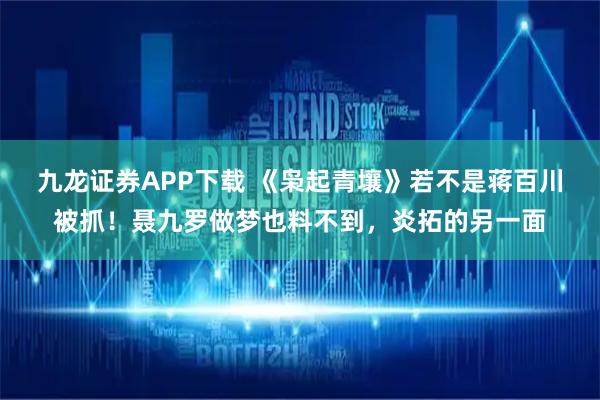 九龙证券APP下载 《枭起青壤》若不是蒋百川被抓！聂九罗做梦也料不到，炎拓的另一面