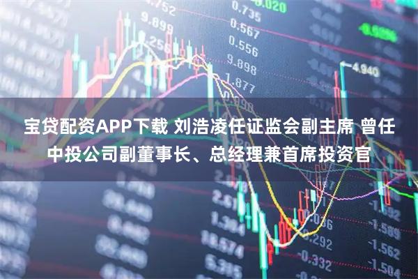 宝贷配资APP下载 刘浩凌任证监会副主席 曾任中投公司副董事长、总经理兼首席投资官