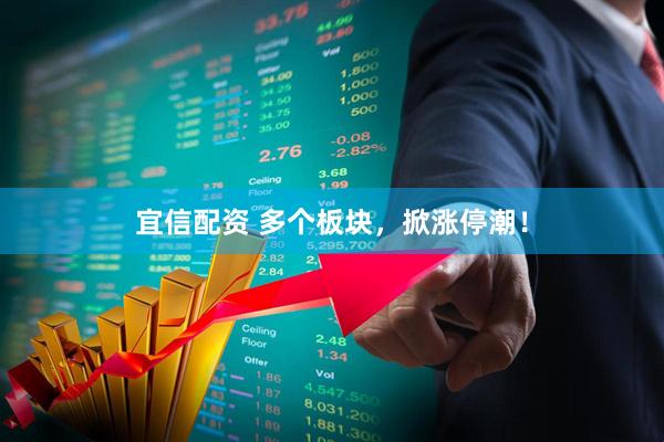 宜信配资 多个板块，掀涨停潮！